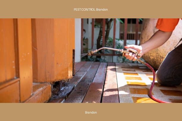 PEST CONTROL Brandon